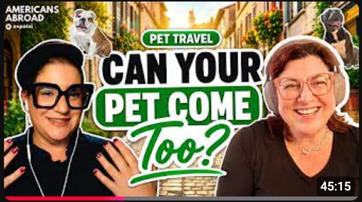 Moving Abroad With Your Pet